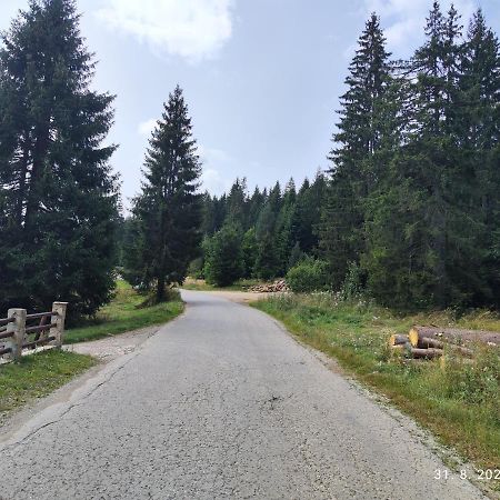Vila Carobna Suma Tara Bajina Basta Dış mekan fotoğraf