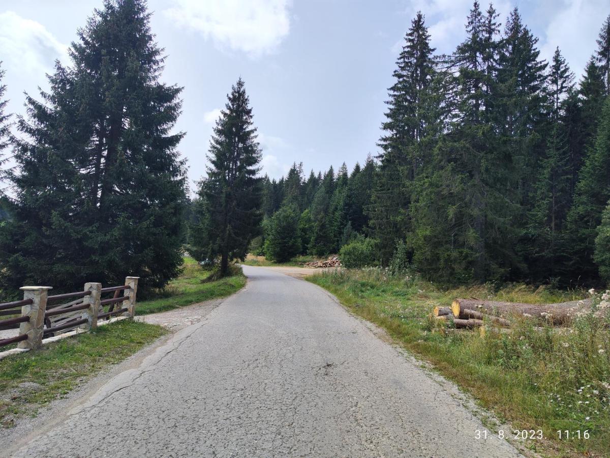 Vila Carobna Suma Tara Bajina Basta Dış mekan fotoğraf